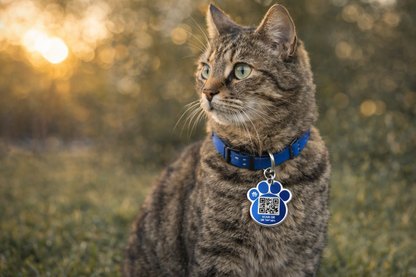 Purrfect Paw