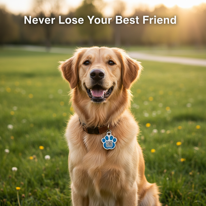 Never Lose Your Best Friend