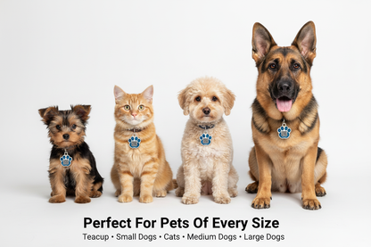 Perfect For Pets Of Every Size